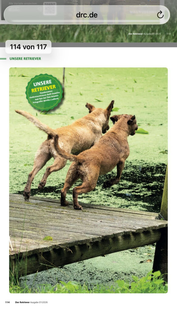 DRC Zeitschrift Der Retriever mit Foto von Monika Ladberg (Fotografin Monica Ladberg)