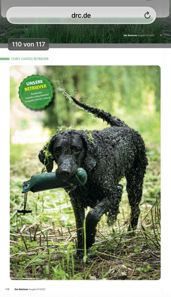 Foto von Monica Ladberg veröffentlicht in der DRC Zeitschrift Der Retriever